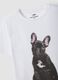 White pure cotton crew-neck T-shirt with puppy print, regular fit_6