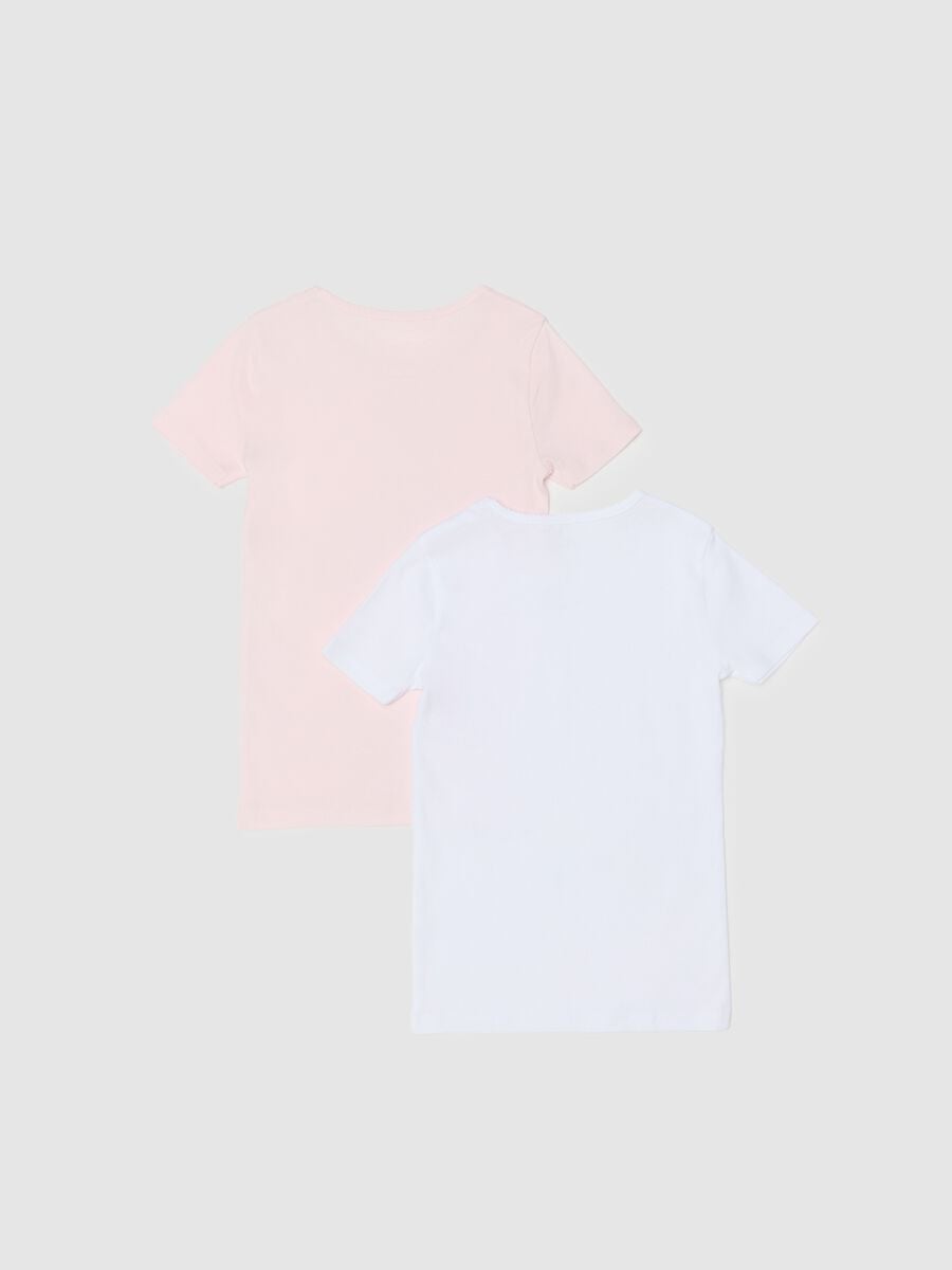 Girls' multicolour t-shirt twin-pack in pure cotton regular fit_1