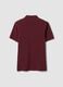 Red pure cotton piqu&eacute; polo shirt with classic collar, regular fit_5