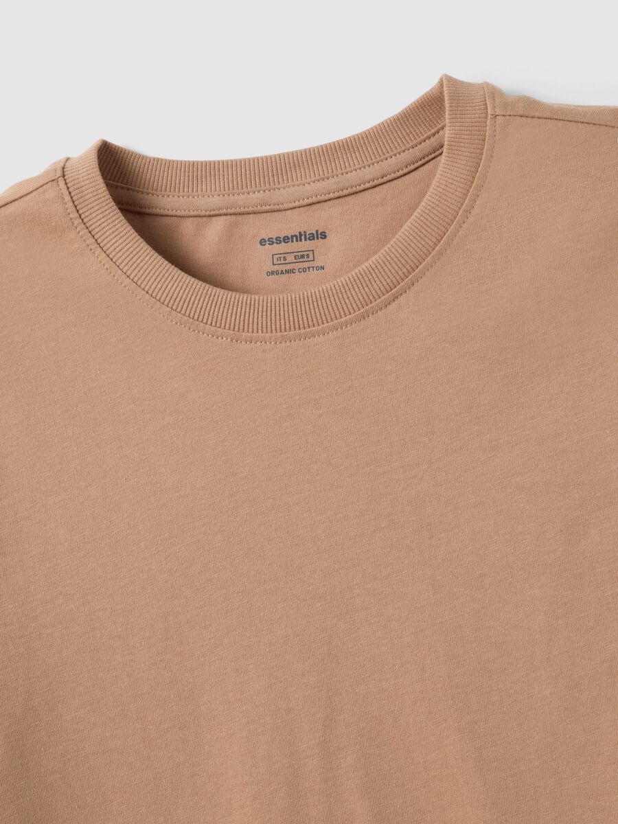 Brown pure cotton crew neck t-shirt regular fit_5