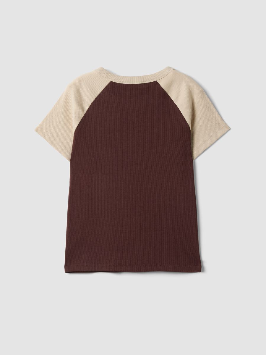 Brown stretch cotton crew-neck T-shirt with contrast sleeves_1