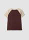 Brown stretch cotton crew-neck T-shirt with contrast sleeves_1