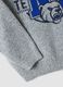Grey stretch hoodie sweatshirt with print for boys_4