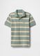 Green and beige striped polo_0