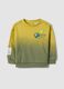 Boys' multicolour pure cotton sweatshirt regular fit with patch_0