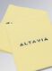 ALTAVIA COURT yellow stretch-cotton wristbands_2