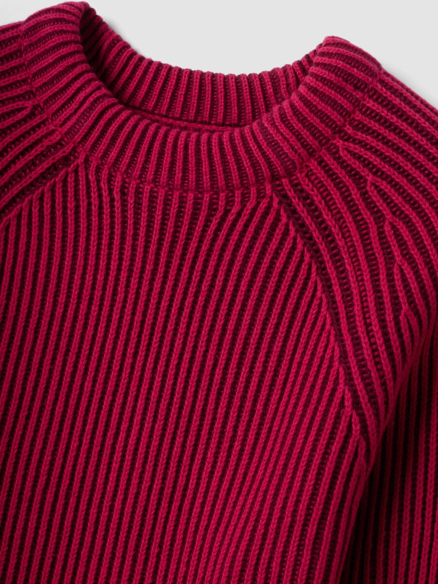 Multicolour pure cotton ribbed crew-neck jumper, regular fit_1