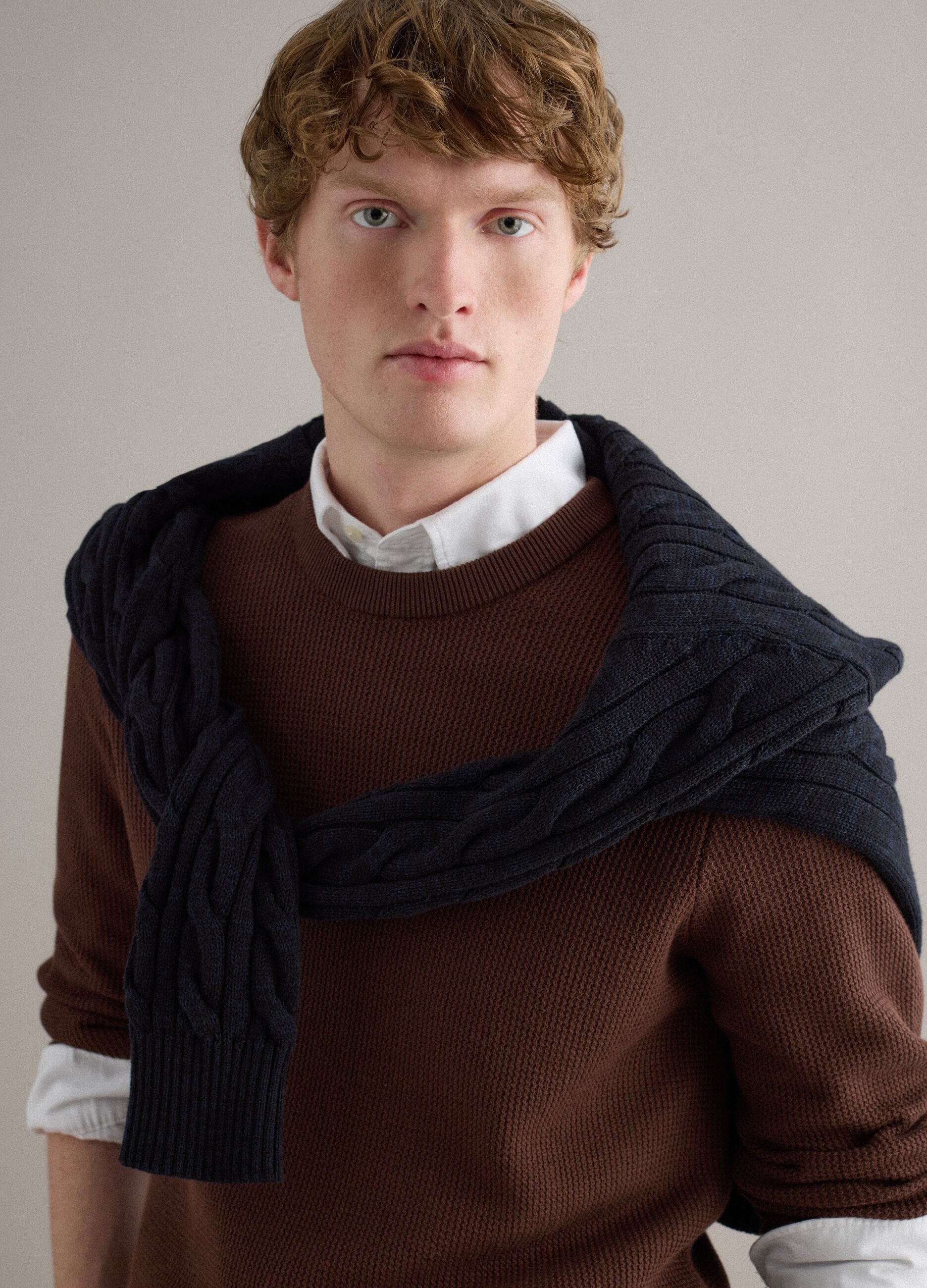 Brown pure cotton crew neck sweater regular fit