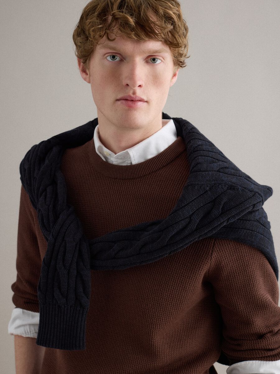 Brown pure cotton crew neck sweater regular fit_2