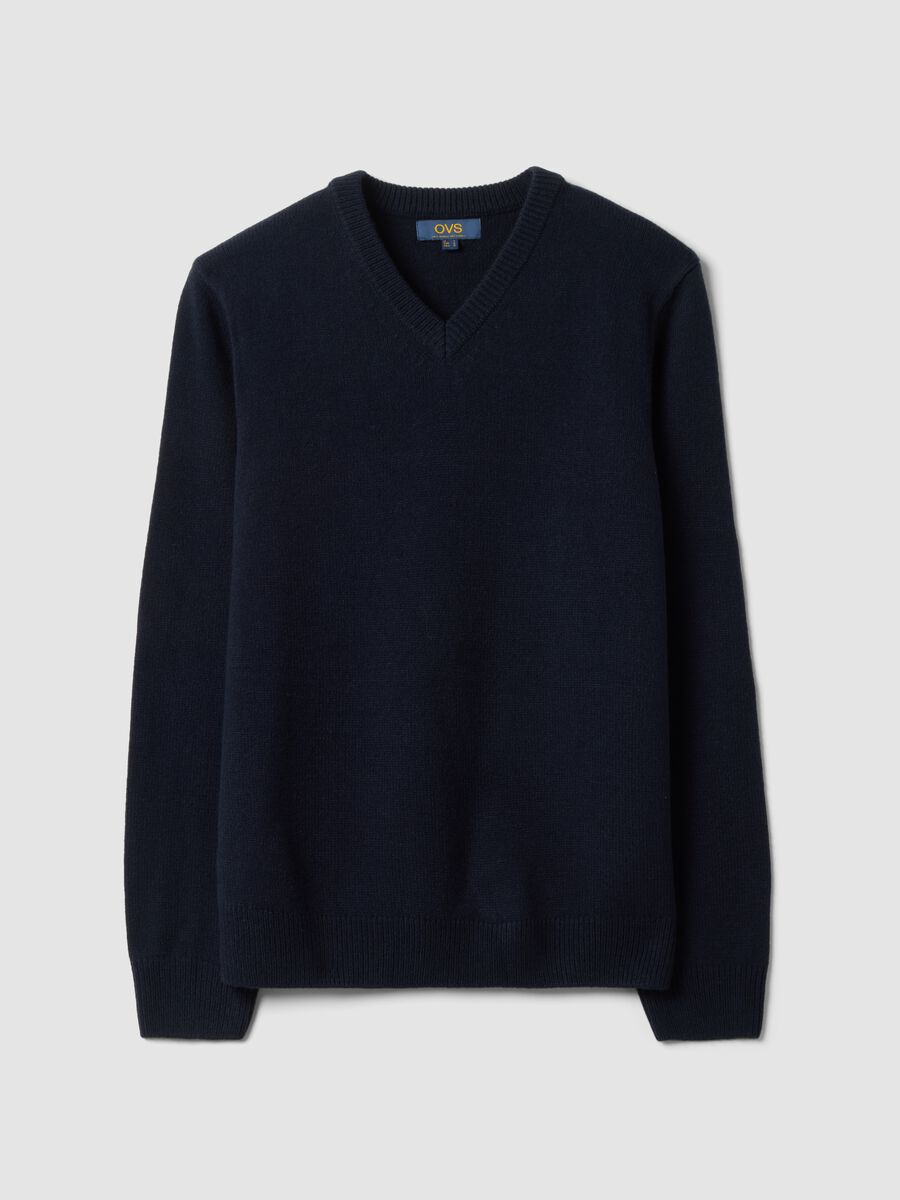 Navy V-neck jumper in regular fit_0