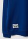 Blue pure cotton hoodie with print for boys_4