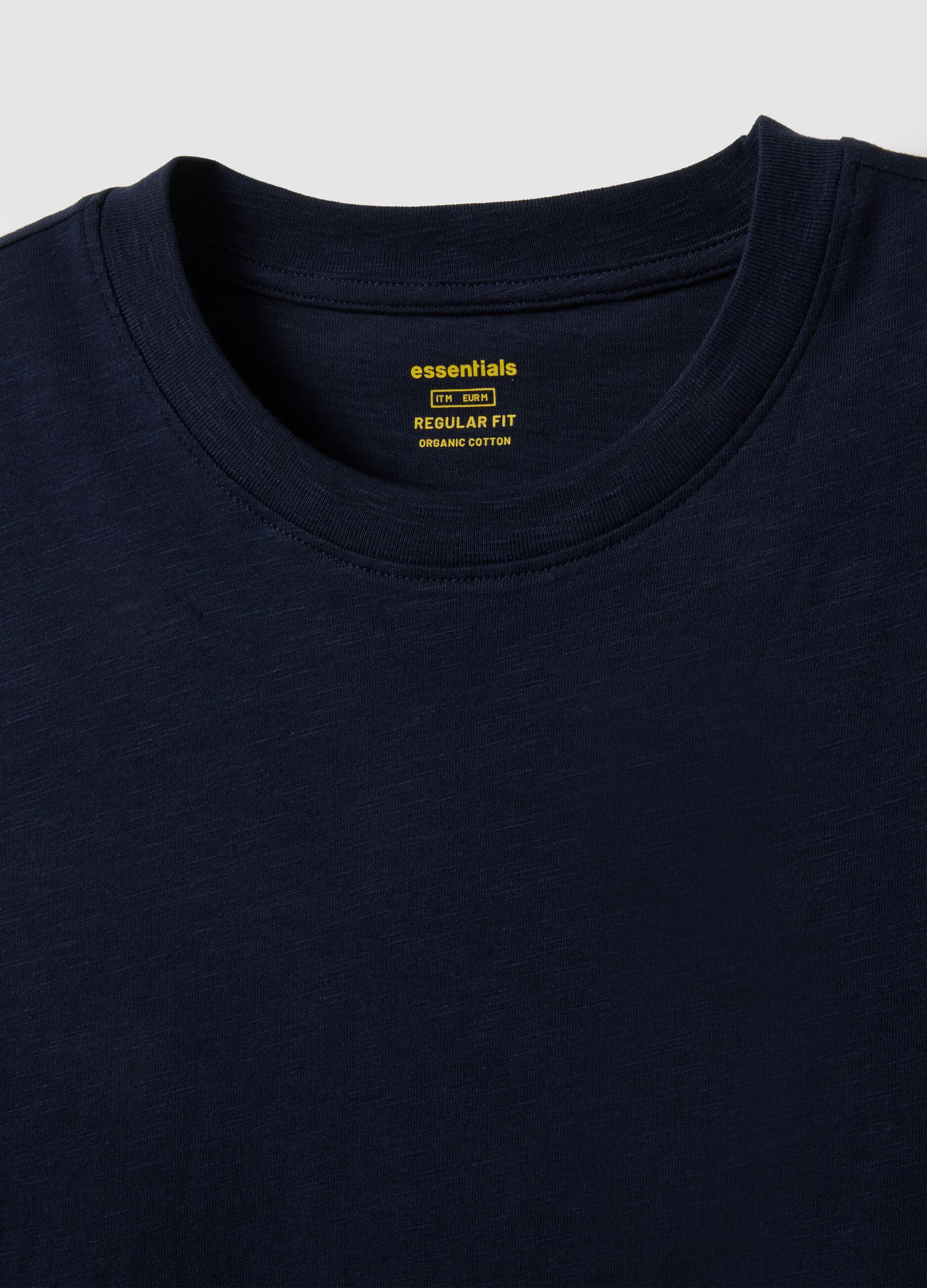 Regular Fit Blue Pure Cotton T-Shirt