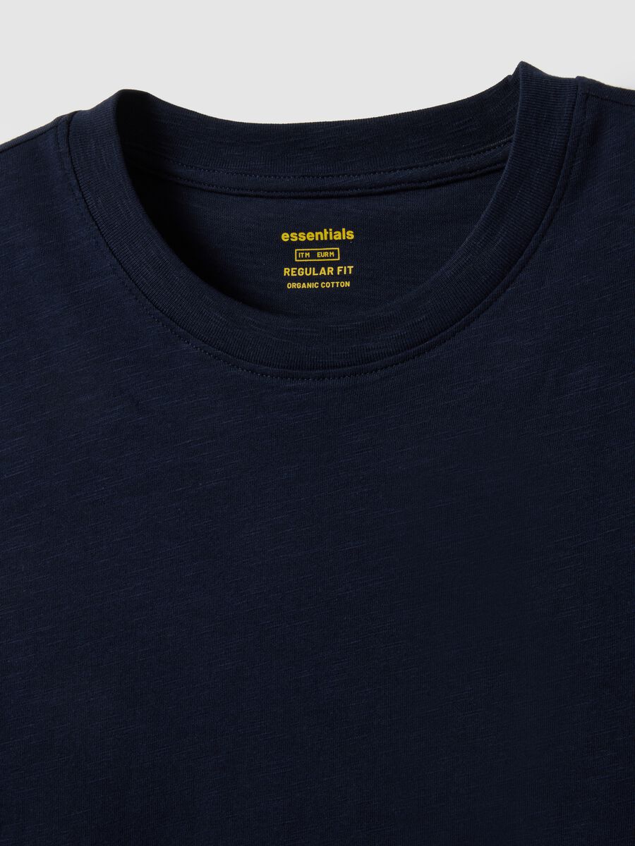 Regular Fit Blue Pure Cotton T-Shirt_5