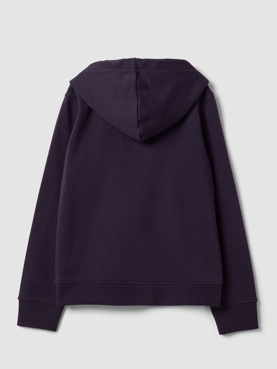 Purple cotton-blend hoodie, regular fit_1