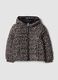 Brown Padded Hooded Jacket with Zip_0