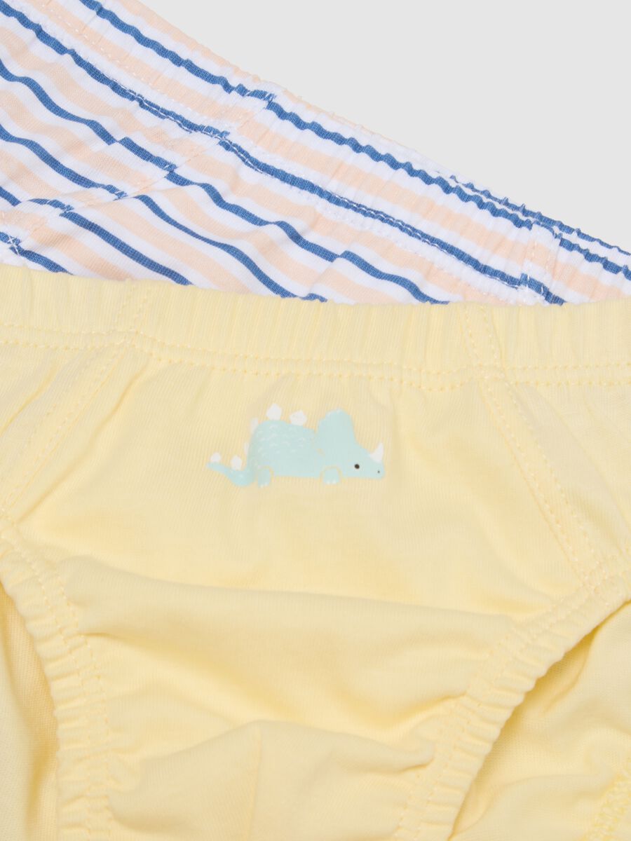Multipack of multicoloured pure cotton regular fit panties for newborns_2