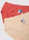 Multipack of baby multicolour pure cotton regular fit briefs_2