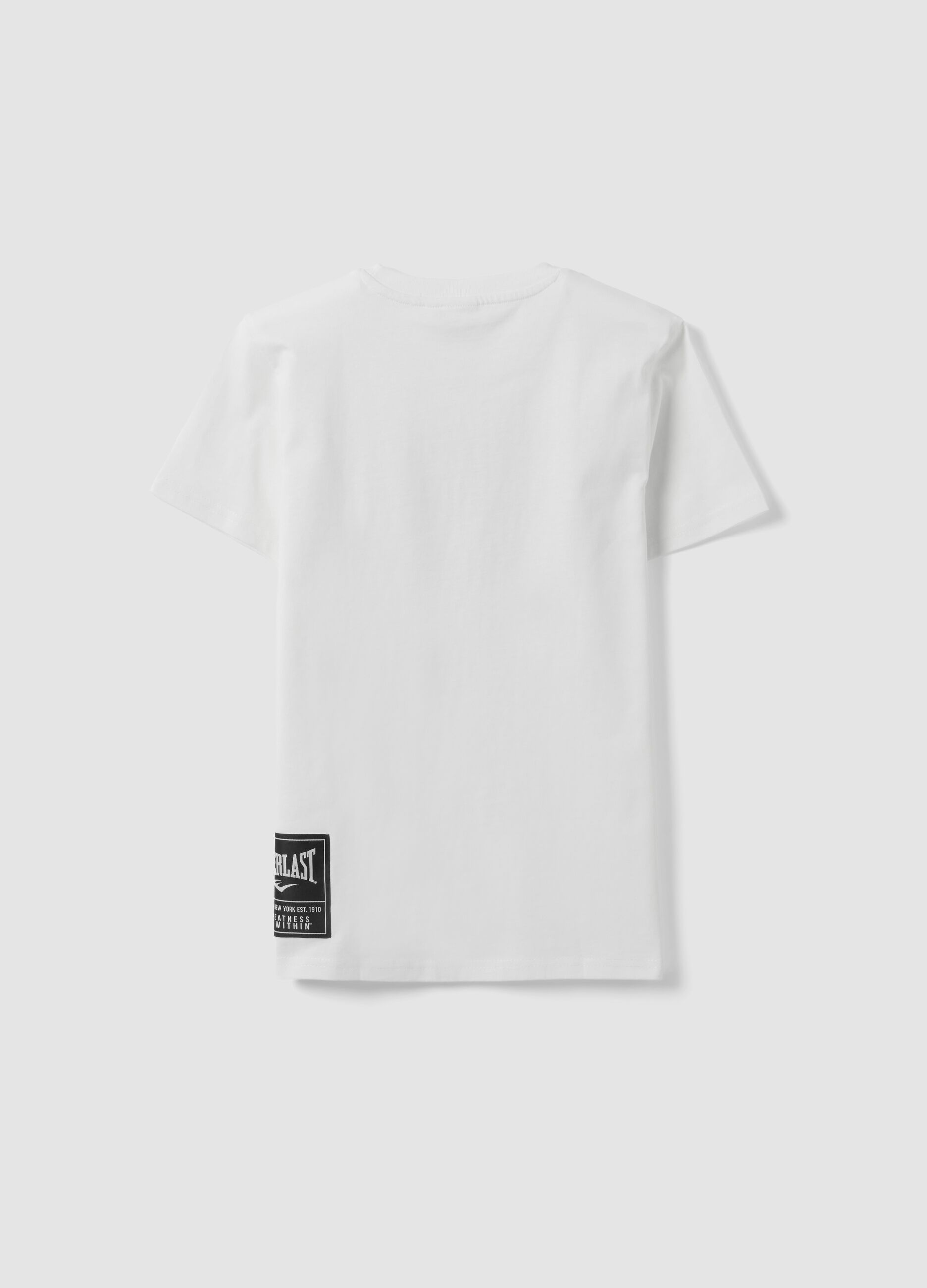 White pure cotton T-shirt with front print, regular fit for boys