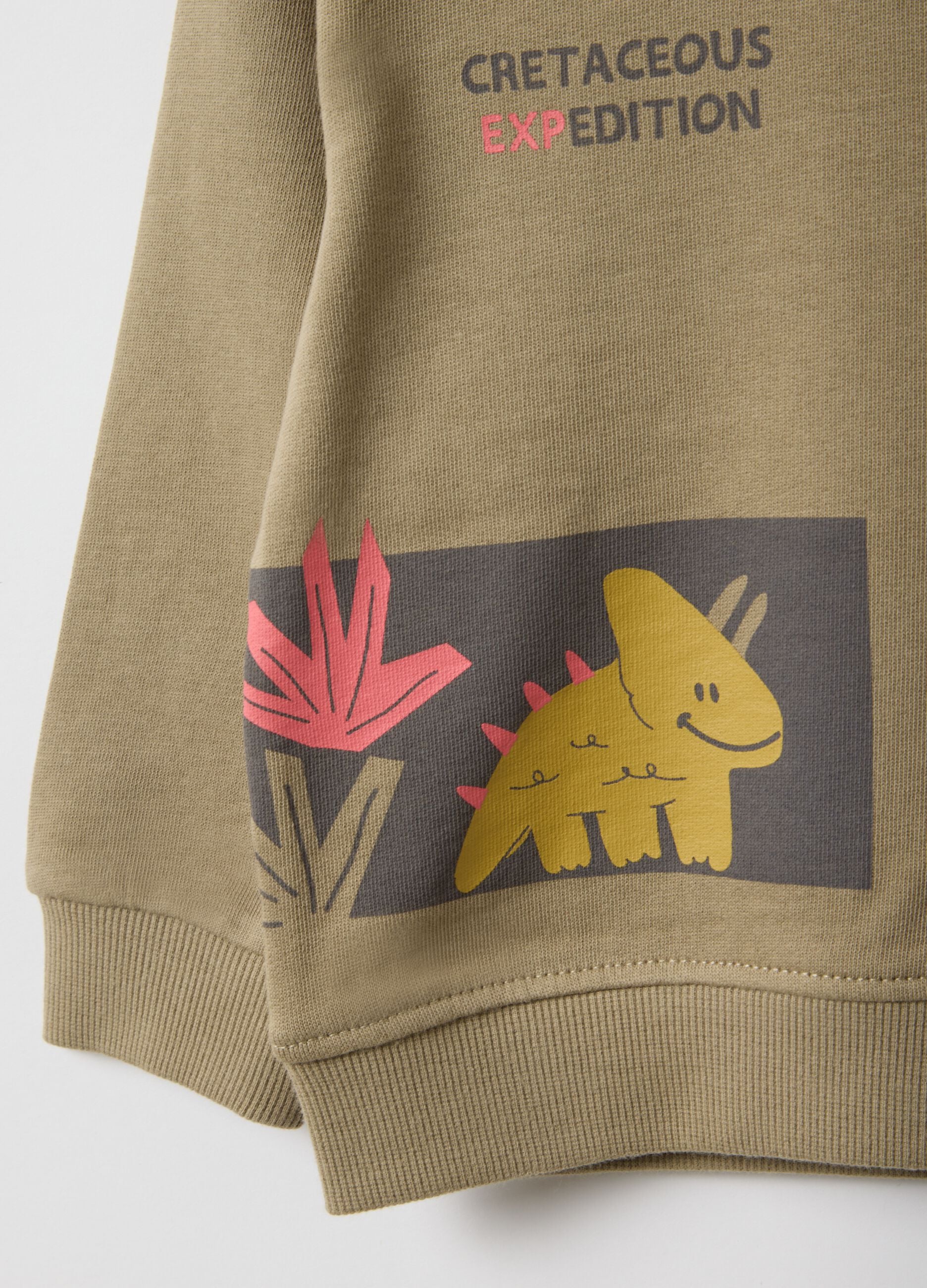 Beige pure cotton regular fit sweatshirt for kids with print