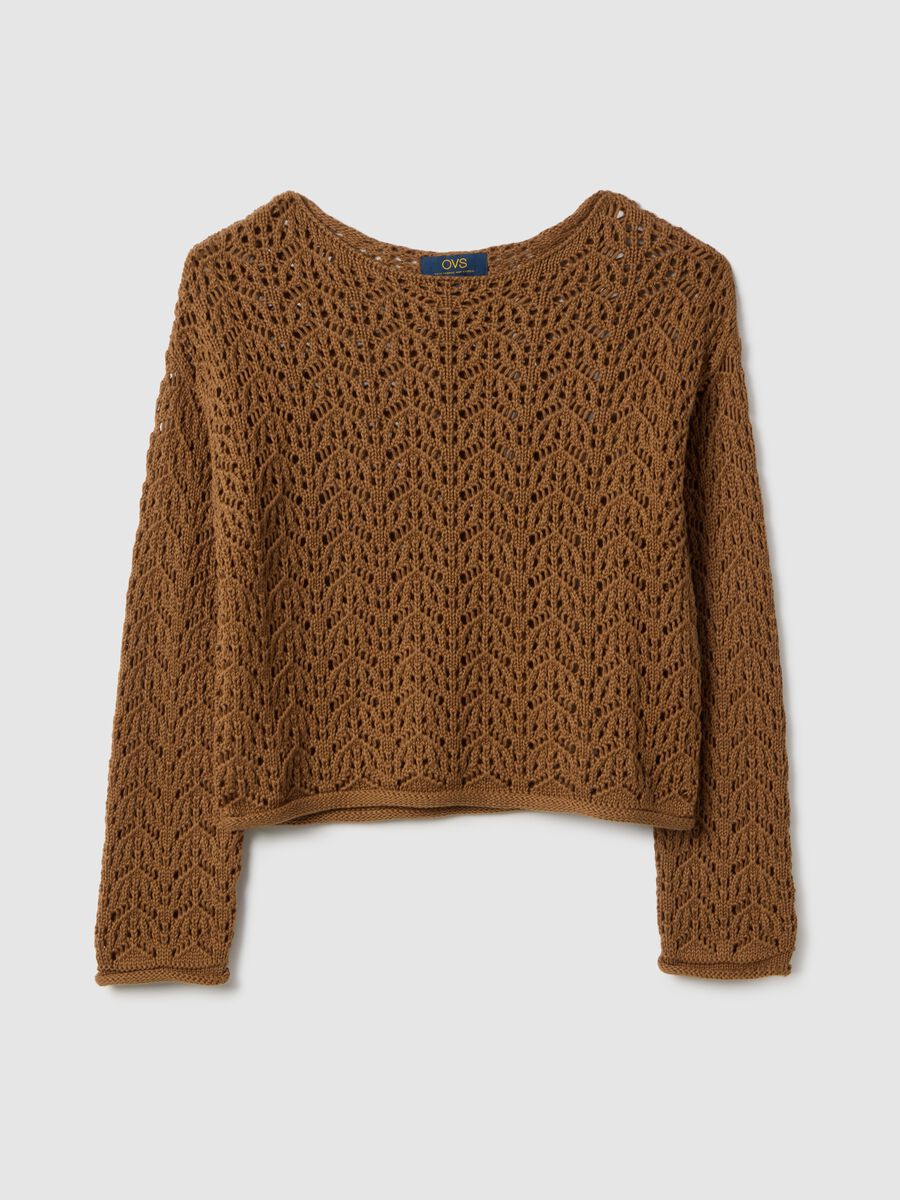 Brown pure cotton jumper with regular fit and perforated design_4