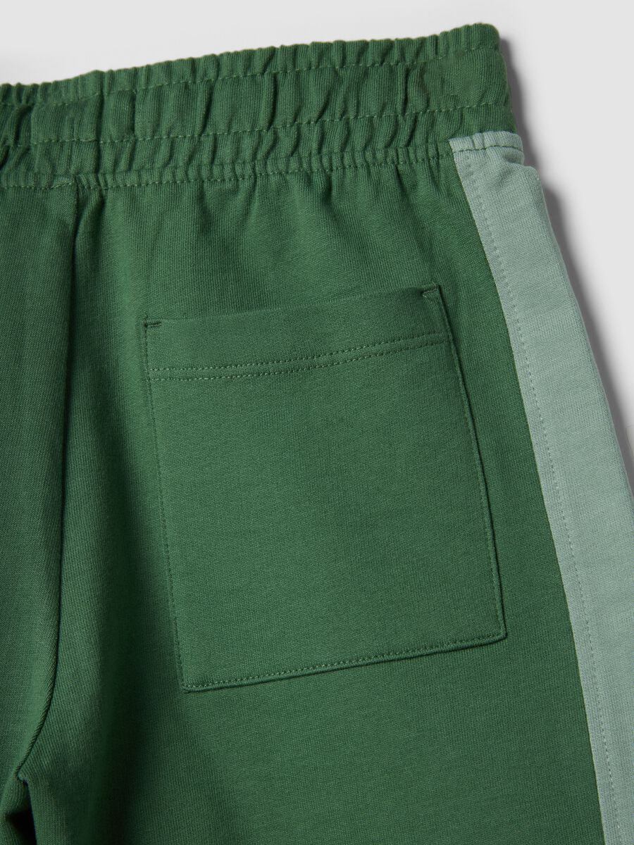 Children's Green Cotton Shorts with Regular Fit_3