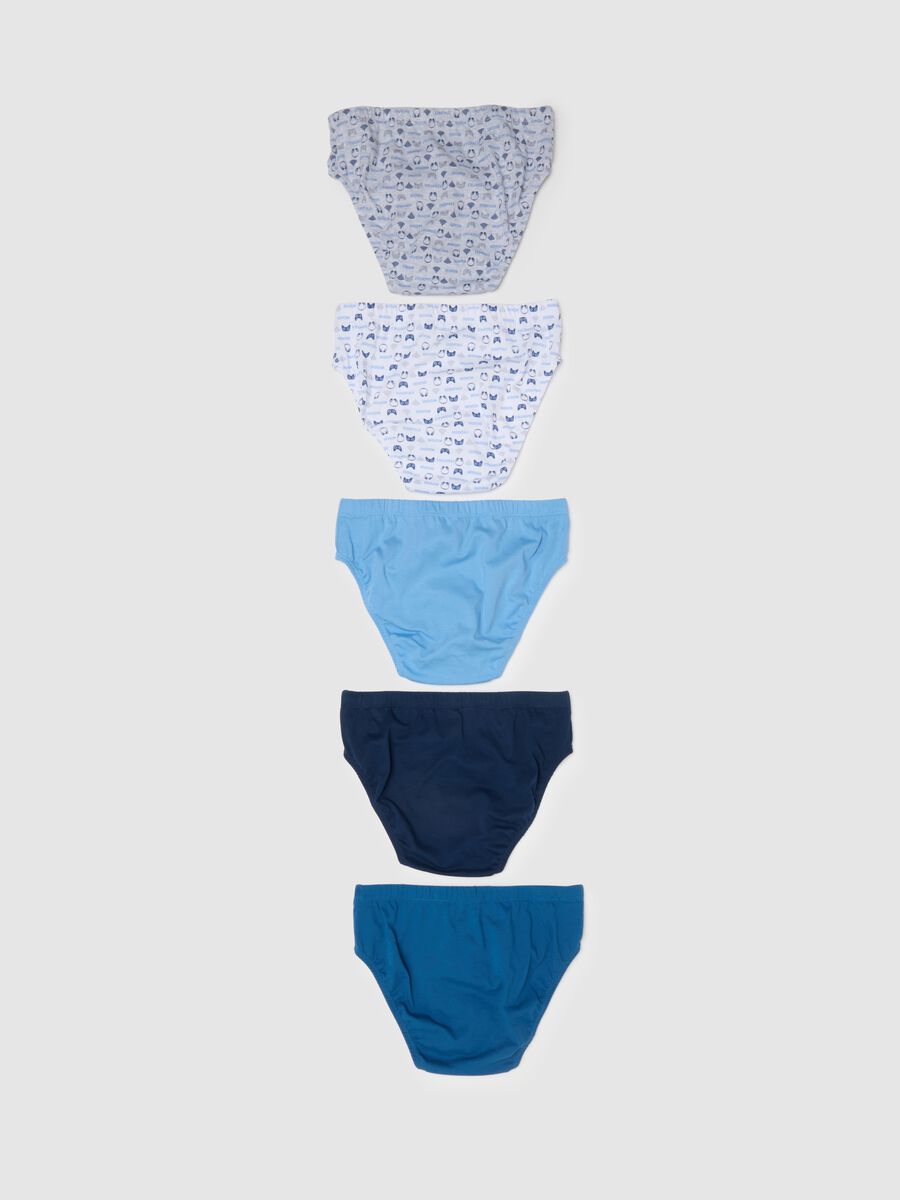 Multipack of five multicolour boys' cotton briefs_1
