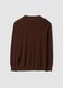 Brown crew-neck jumper in cotton and cashmere blend, regular fit_6
