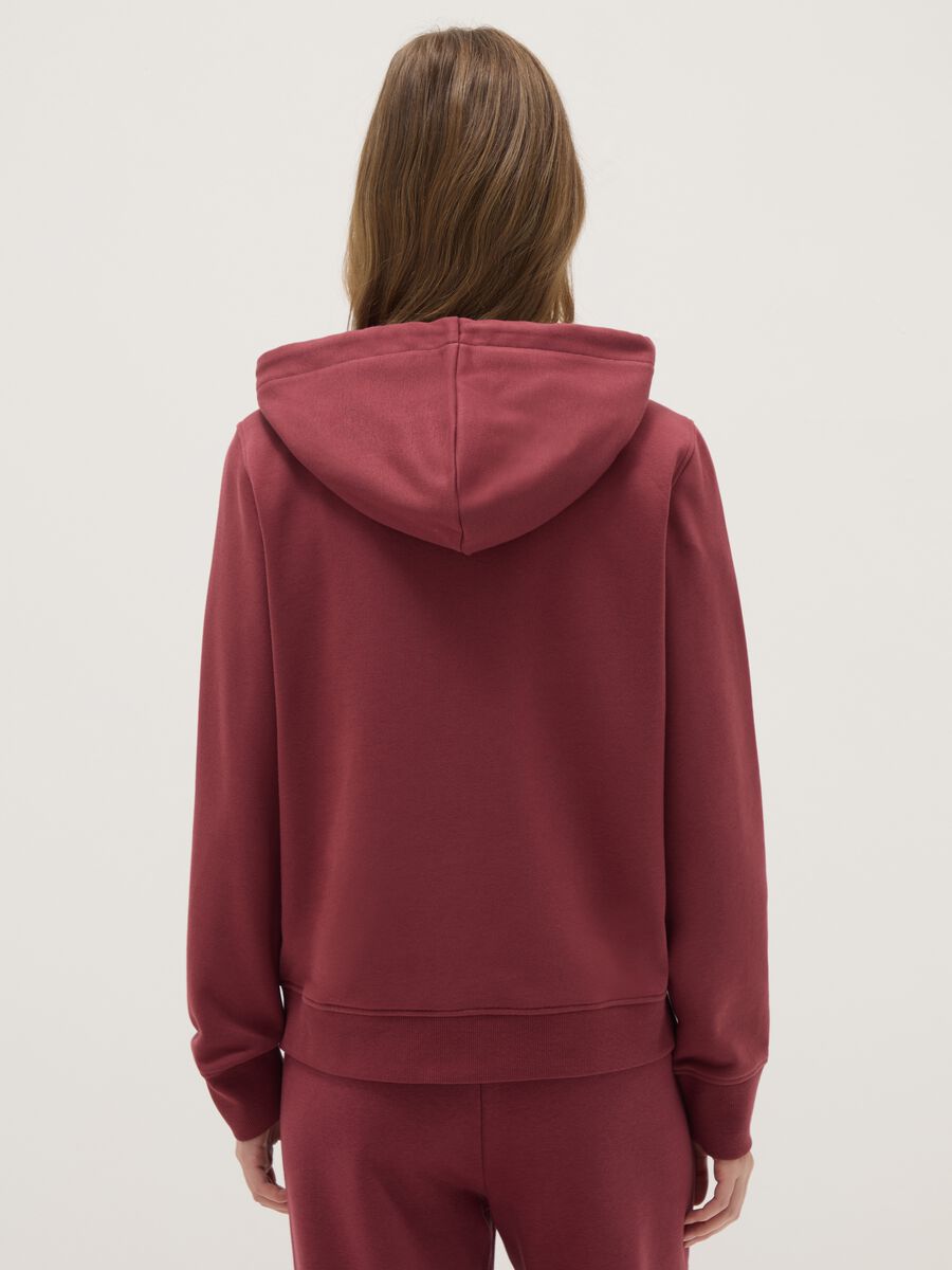 Felpa in misto cotone rosa regular fit con cappuccio e zip_2