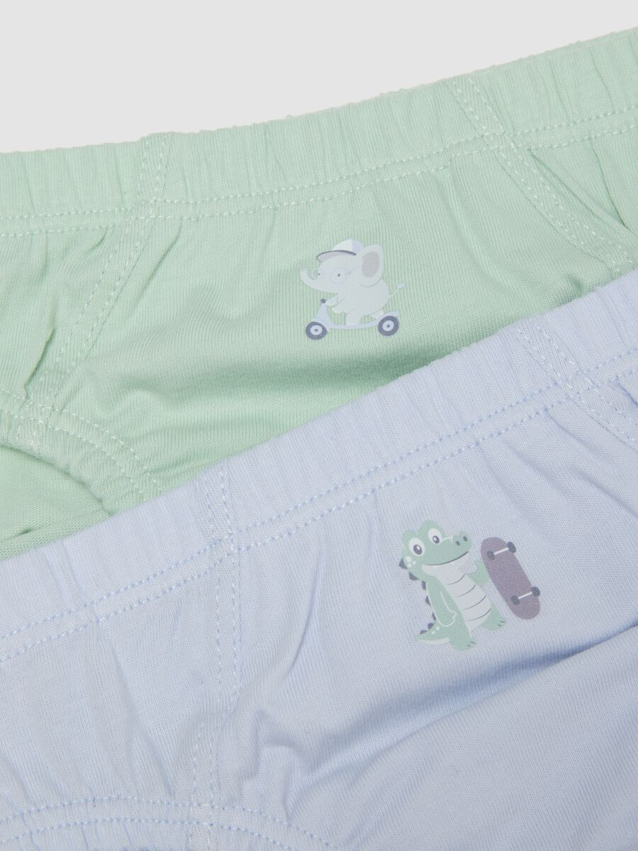 Pack of 5 multicoloured pure organic cotton briefs for baby_3