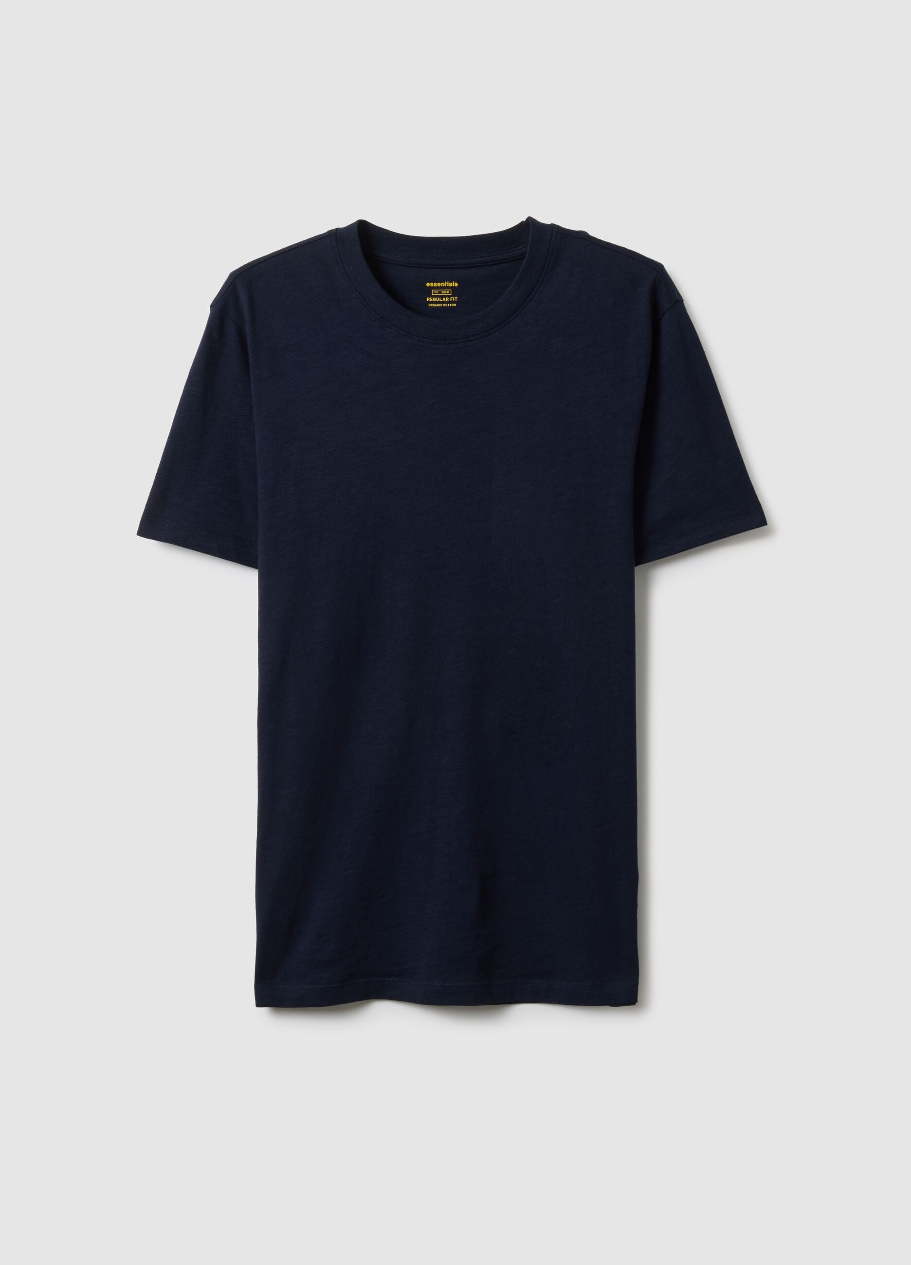 Regular Fit Blue Pure Cotton T-Shirt