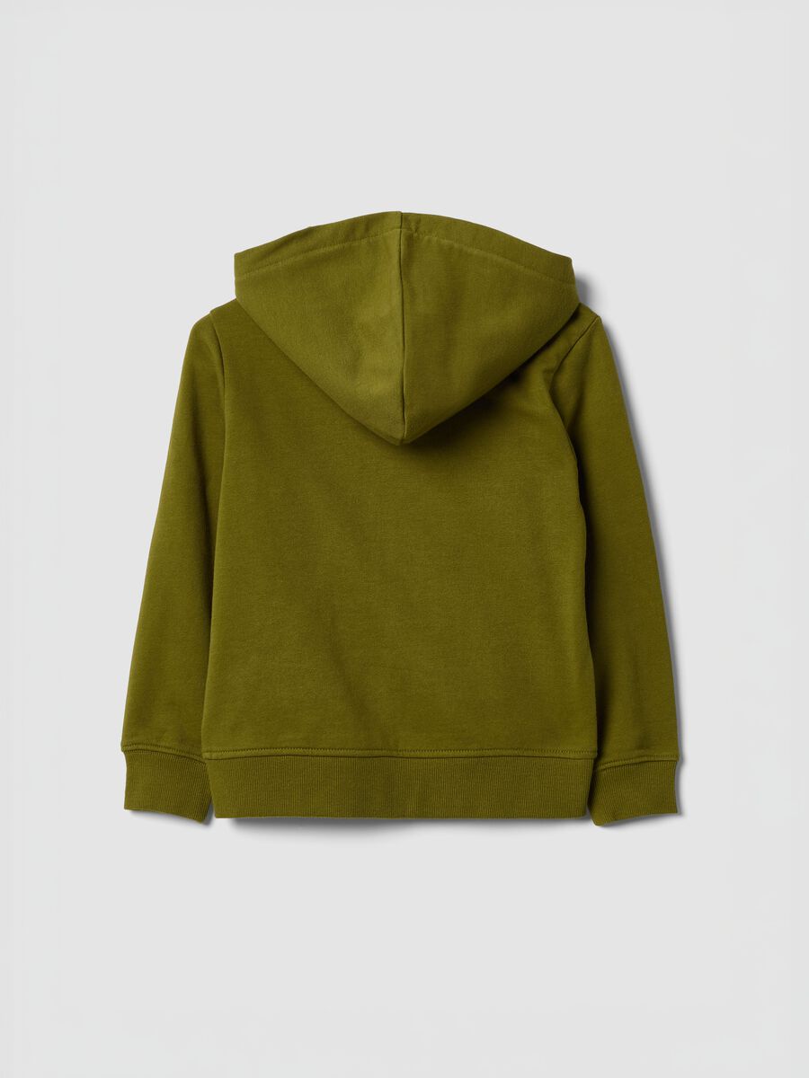 Green organic cotton hooded sweatshirt for boys, regular fit_1