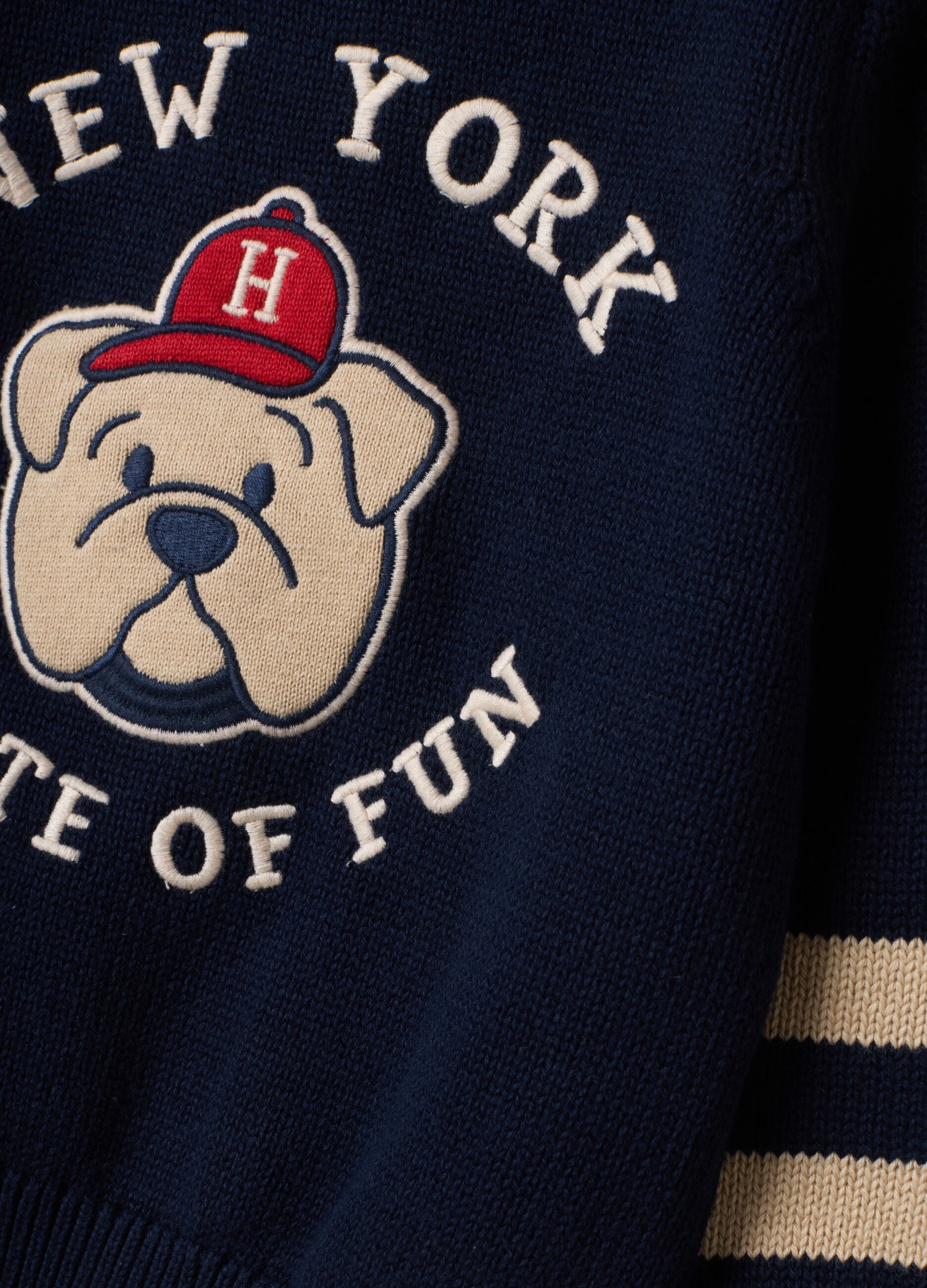 Blue pure cotton crew-neck jumper with puppy print for baby boy