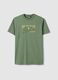Green pure cotton regular fit T-shirt with Milwaukee Bucks print_4