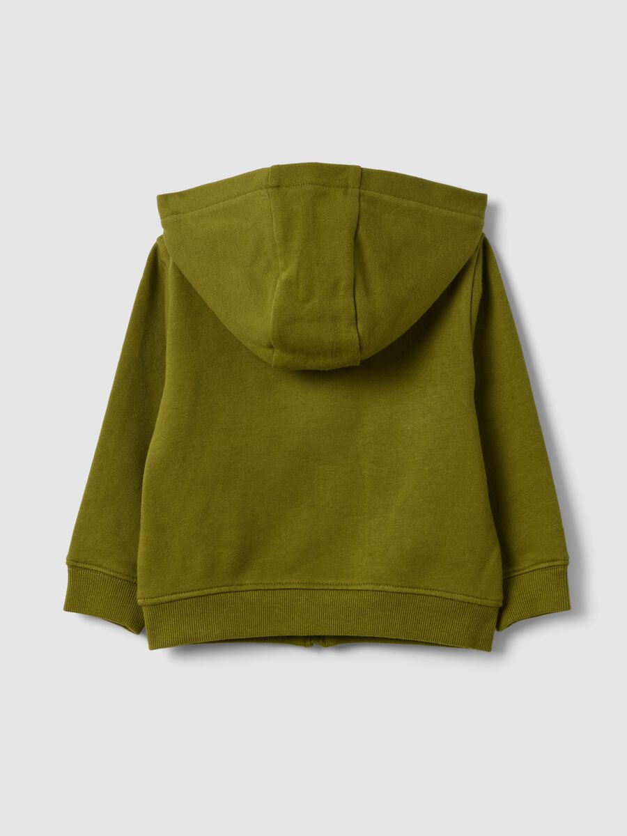 Green organic cotton hooded sweatshirt, regular fit, for boys_1