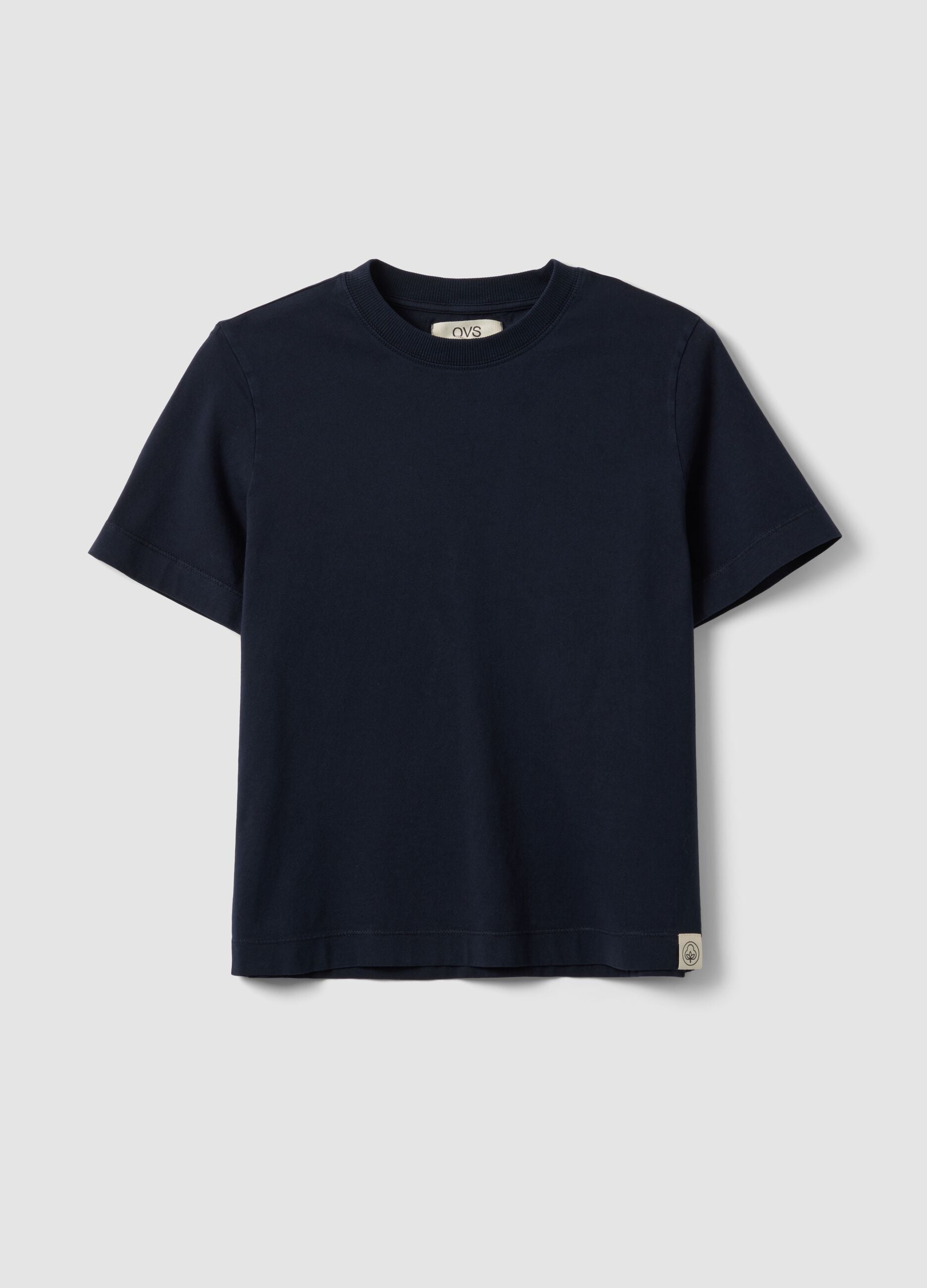 Blue short-sleeve pure cotton regular fit T-shirt
