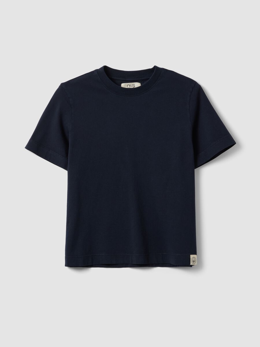Blue short-sleeve pure cotton regular fit T-shirt_4