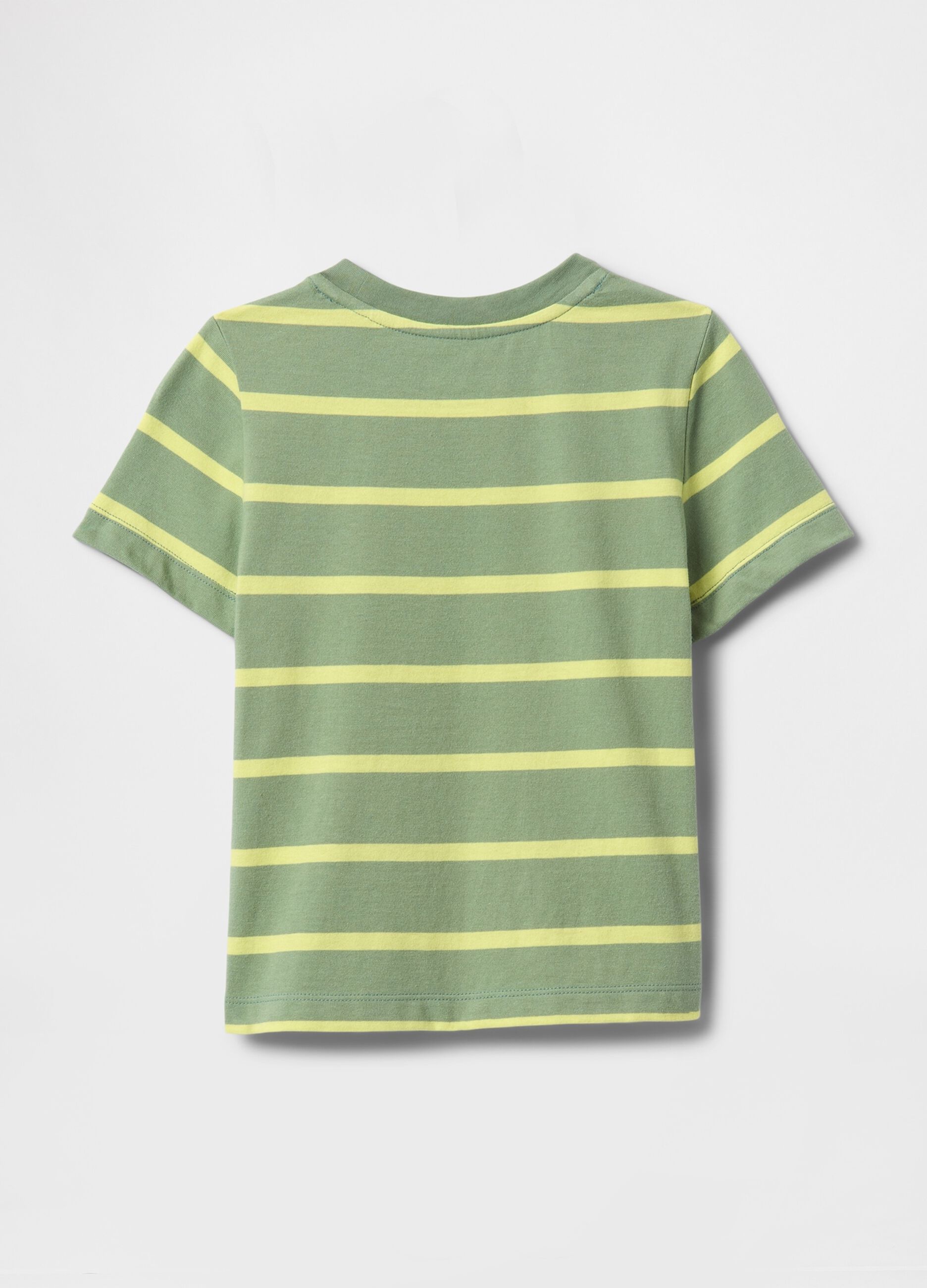 Green Striped T-Shirt