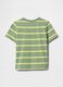 Green Striped T-Shirt_1