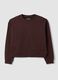 Brown cotton-blend crew-neck sweatshirt, regular fit_0