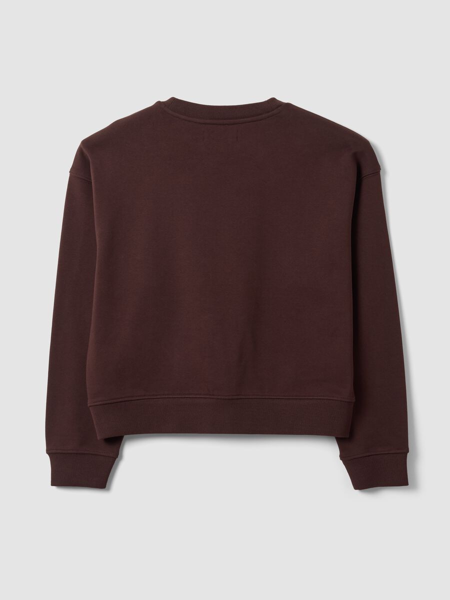 Felpa marrone in misto cotone a girocollo regular fit_2