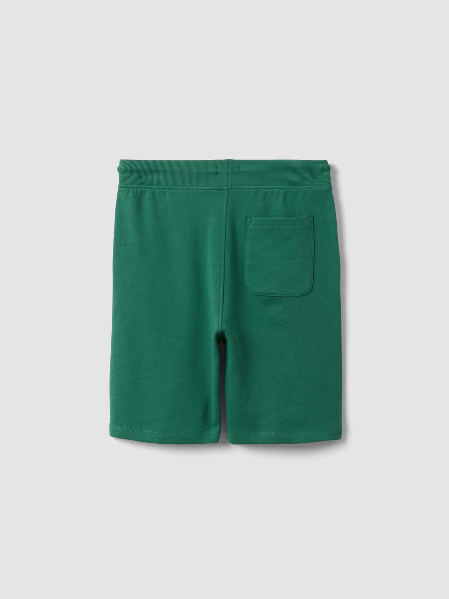 Boys&rsquo; green pure cotton shorts, relaxed fit_4