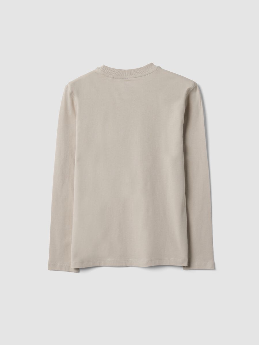Grey pure organic cotton printed T-shirt for boys_2