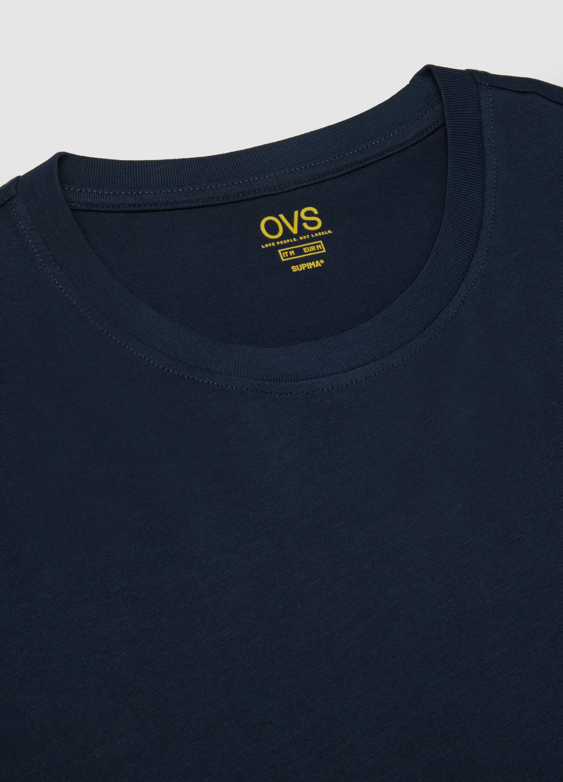 Regular Fit Round Neck Blue Pure Cotton T-shirt