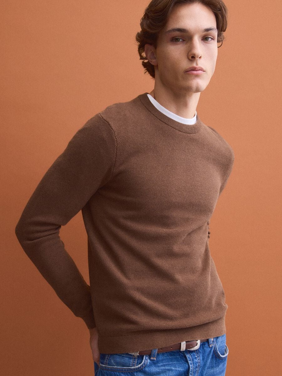 Brown pure cotton crew-neck jumper, regular fit_4