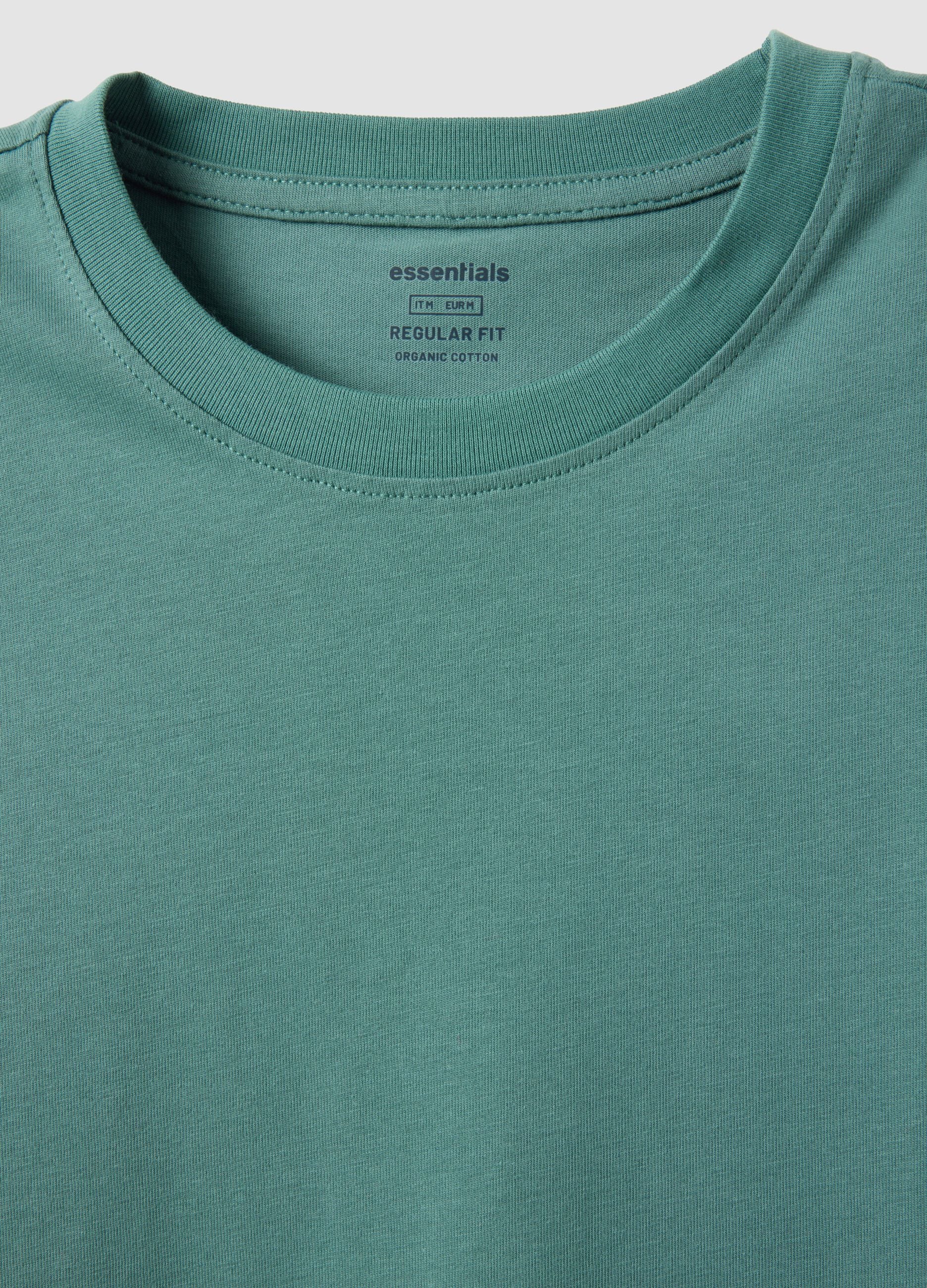 Green pure cotton short sleeve T-shirt, regular fit
