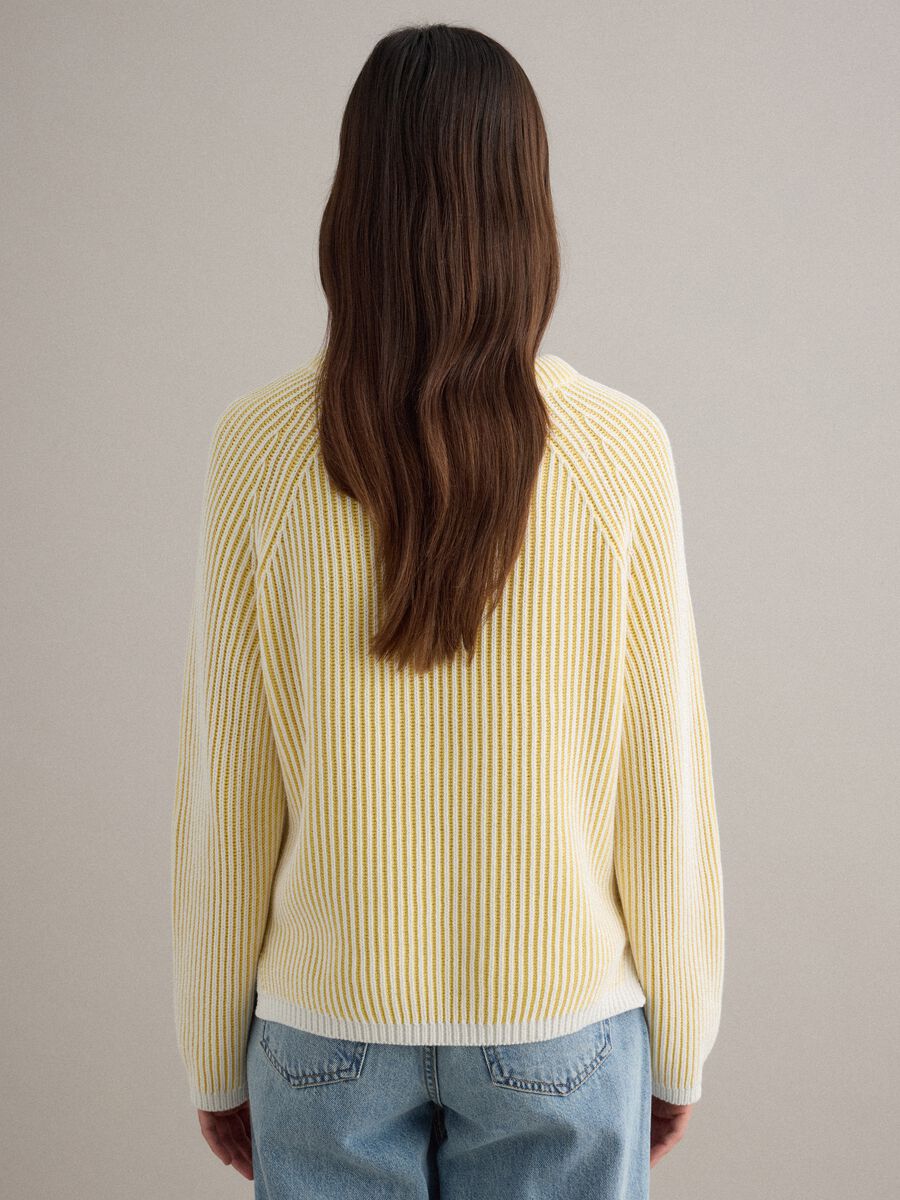 Multicolour striped pure cotton pullover - regular fit_3