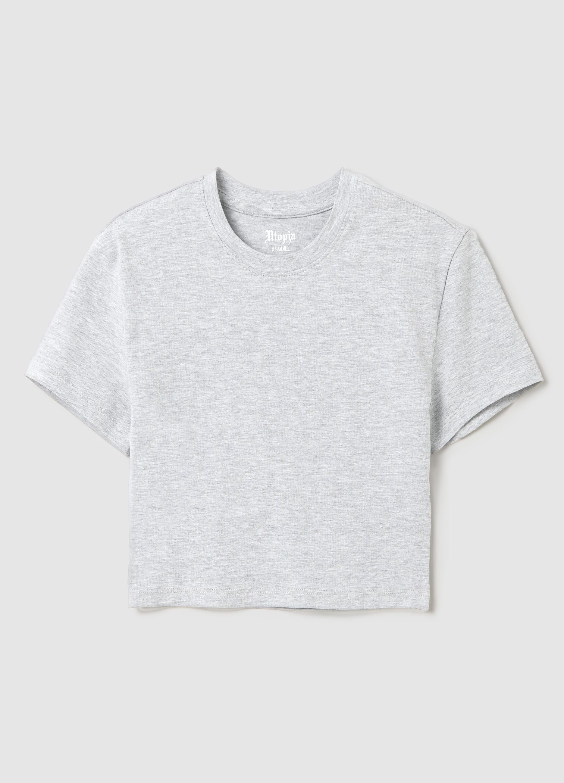 Vintage Grey crop T-shirt