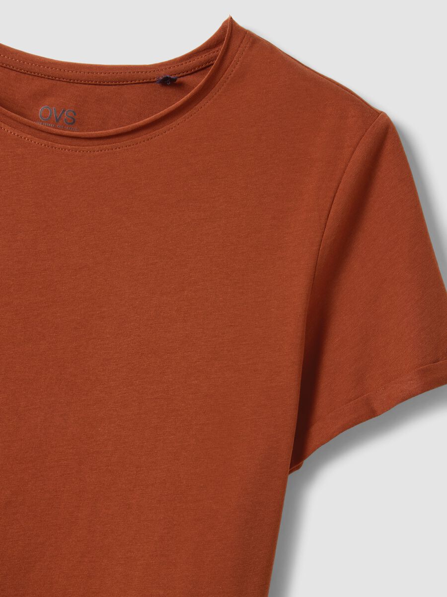 Brown short sleeve pure cotton regular fit T-shirt_5