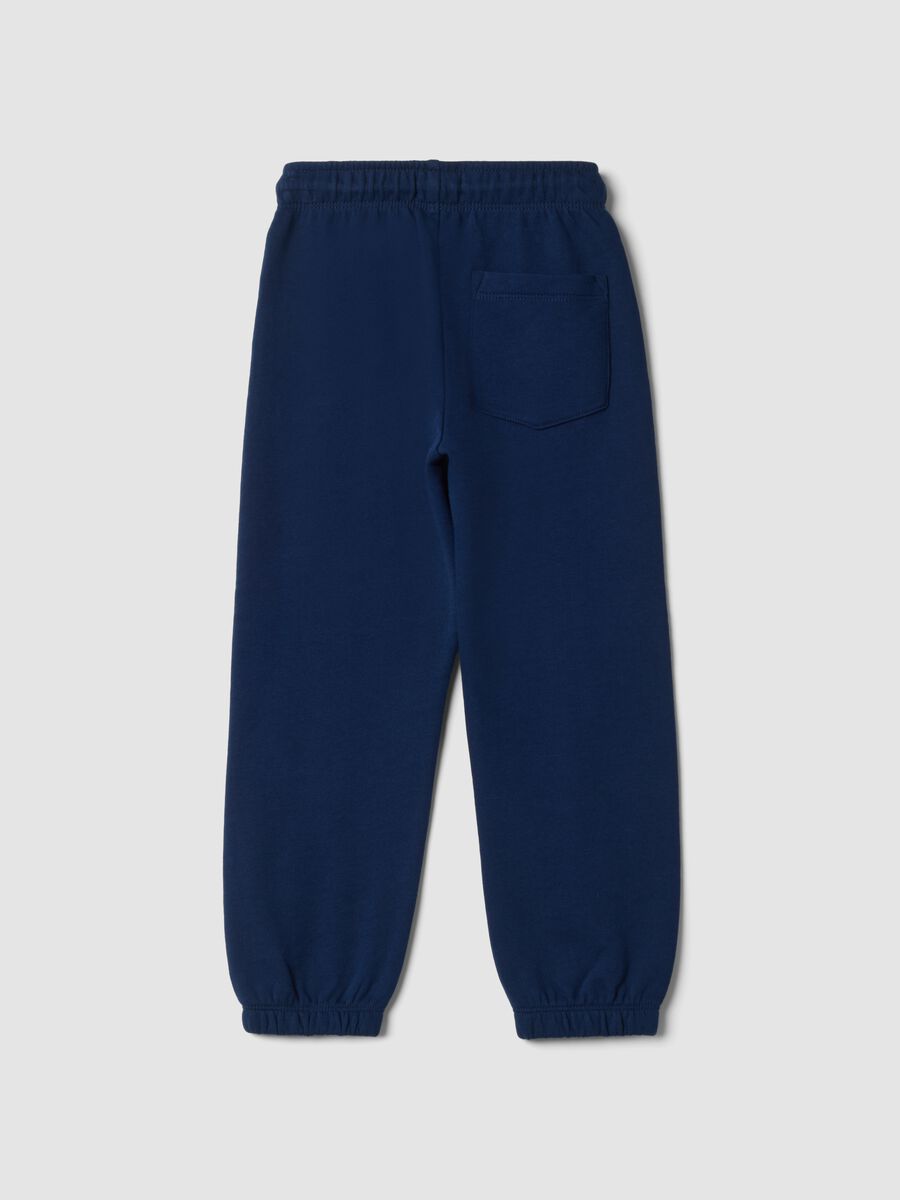 Blue pure cotton joggers with print_2