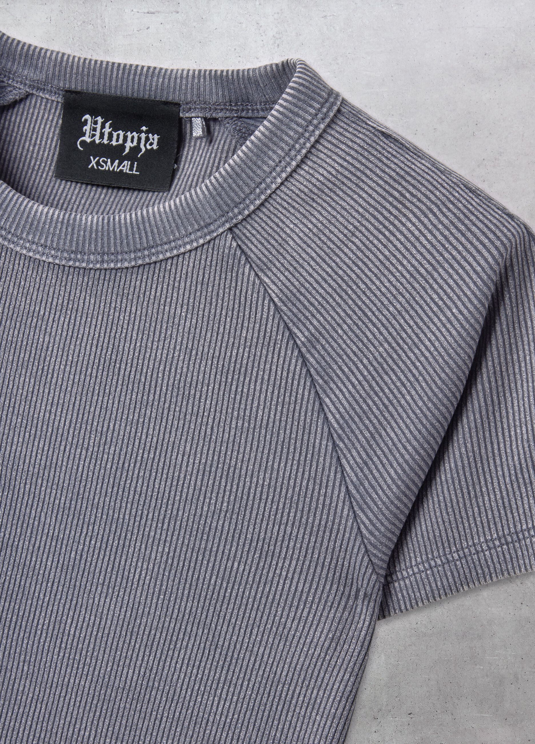 Ribbed Perfect T-shirt Vintage Grey